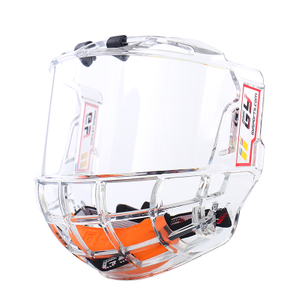 Full Face Träning Ishockey Cage