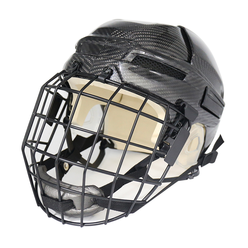 Ishockeyhj&auml;lminspektion